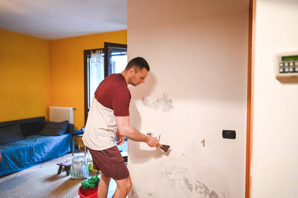 Best Black Mold Removal  in Holbrook, NY